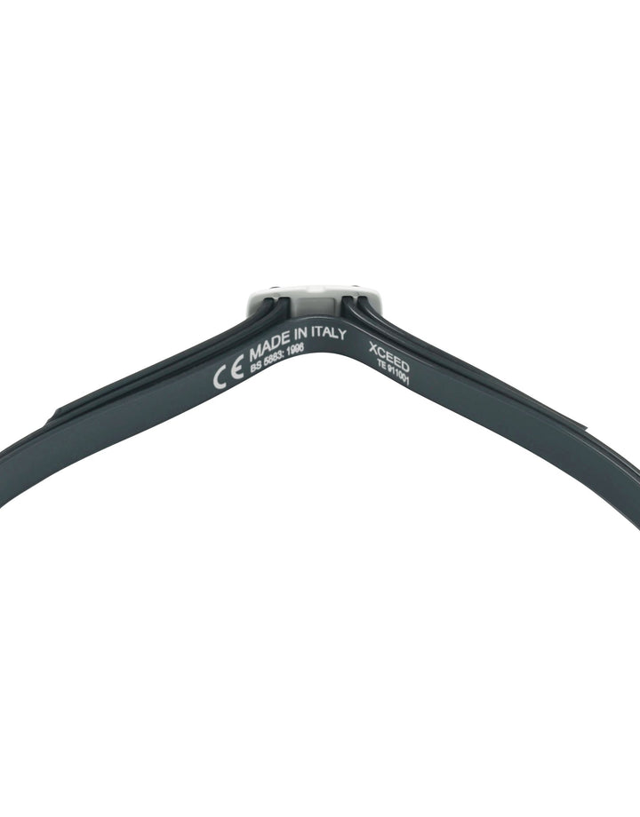 Aqua Sphere Xceed Mirror Titanium Goggle – theSwimmingShop